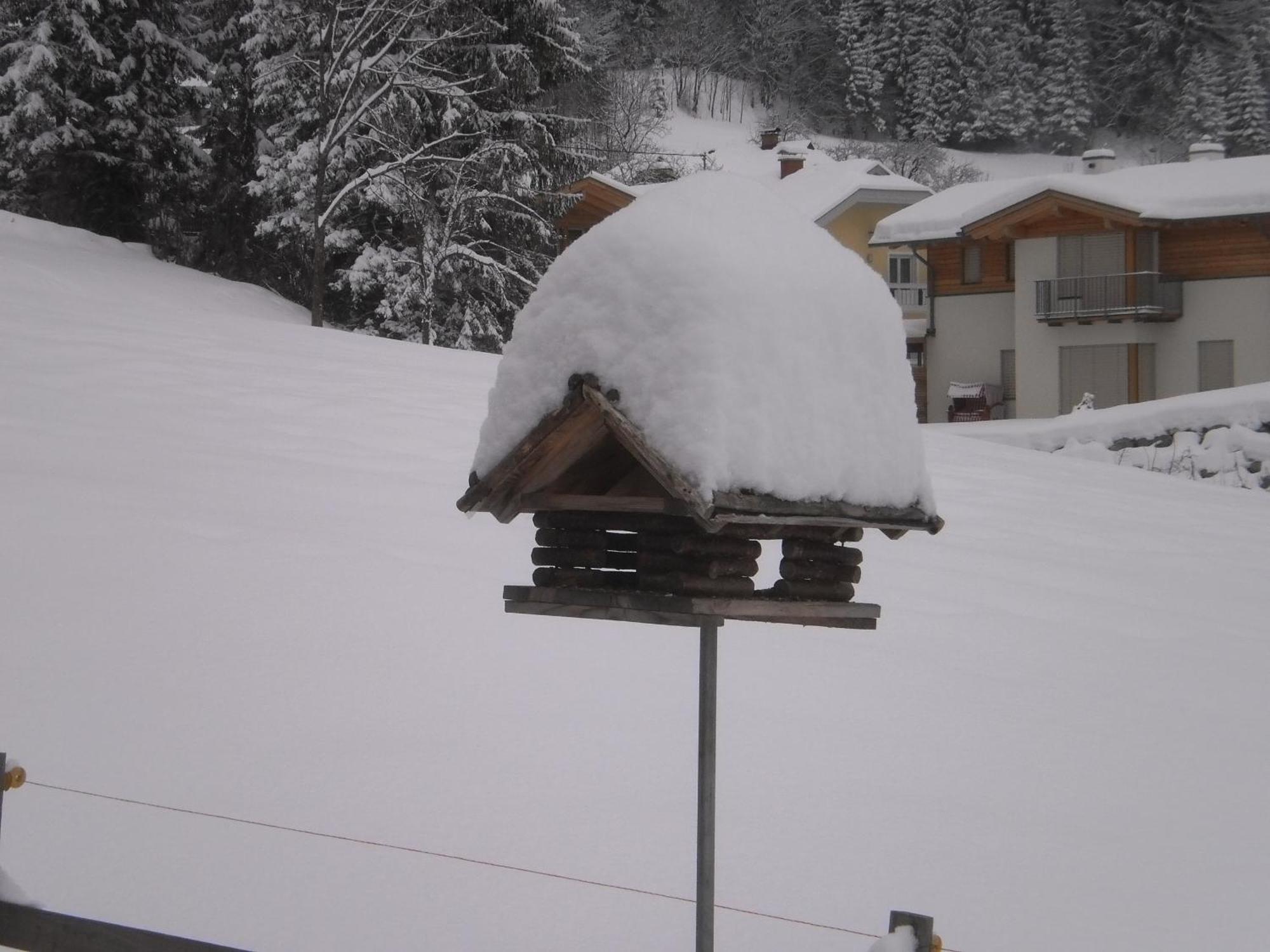 Appartamento Haus Birke Weissensee Esterno foto