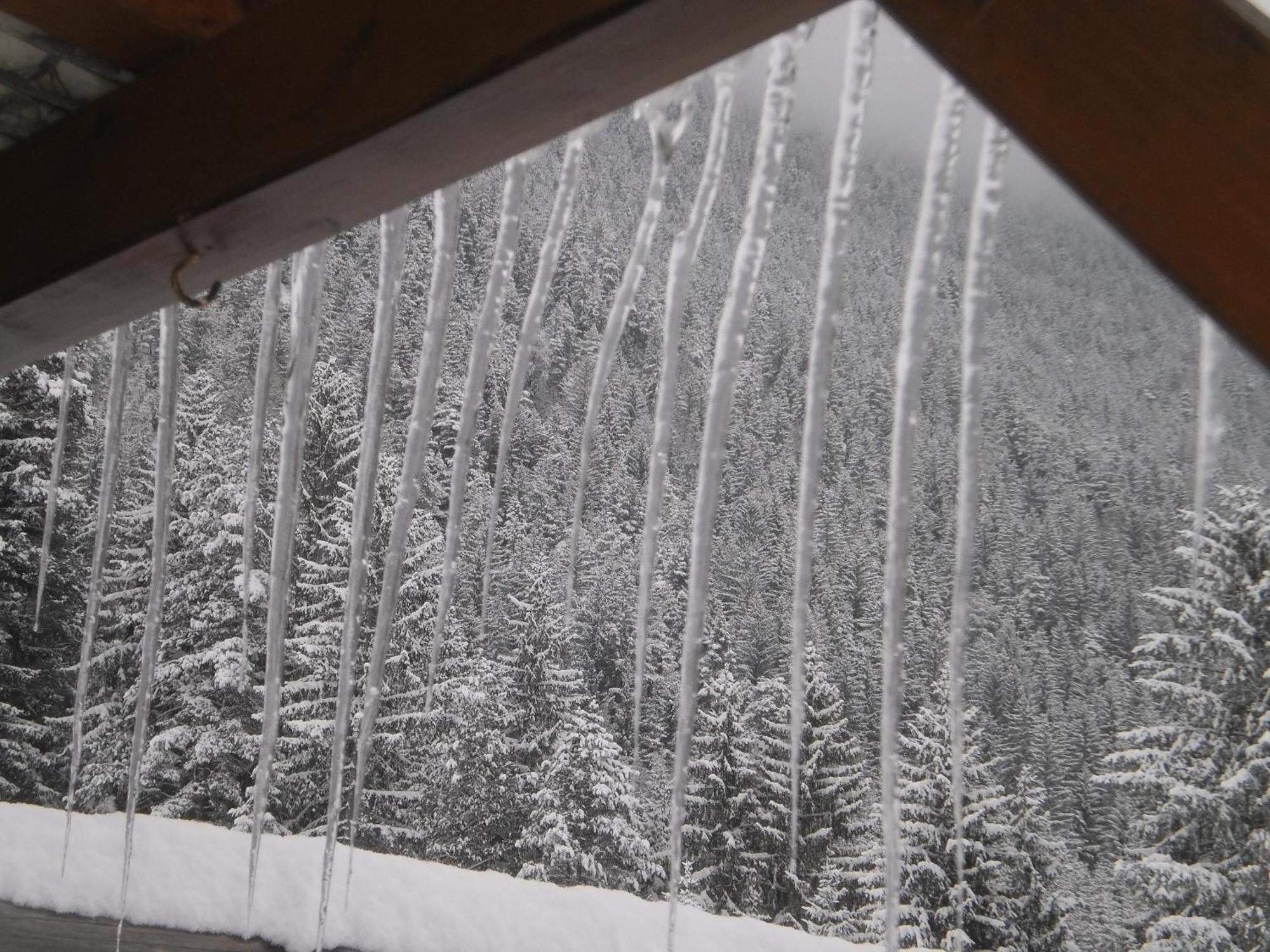 Appartamento Haus Birke Weissensee Esterno foto