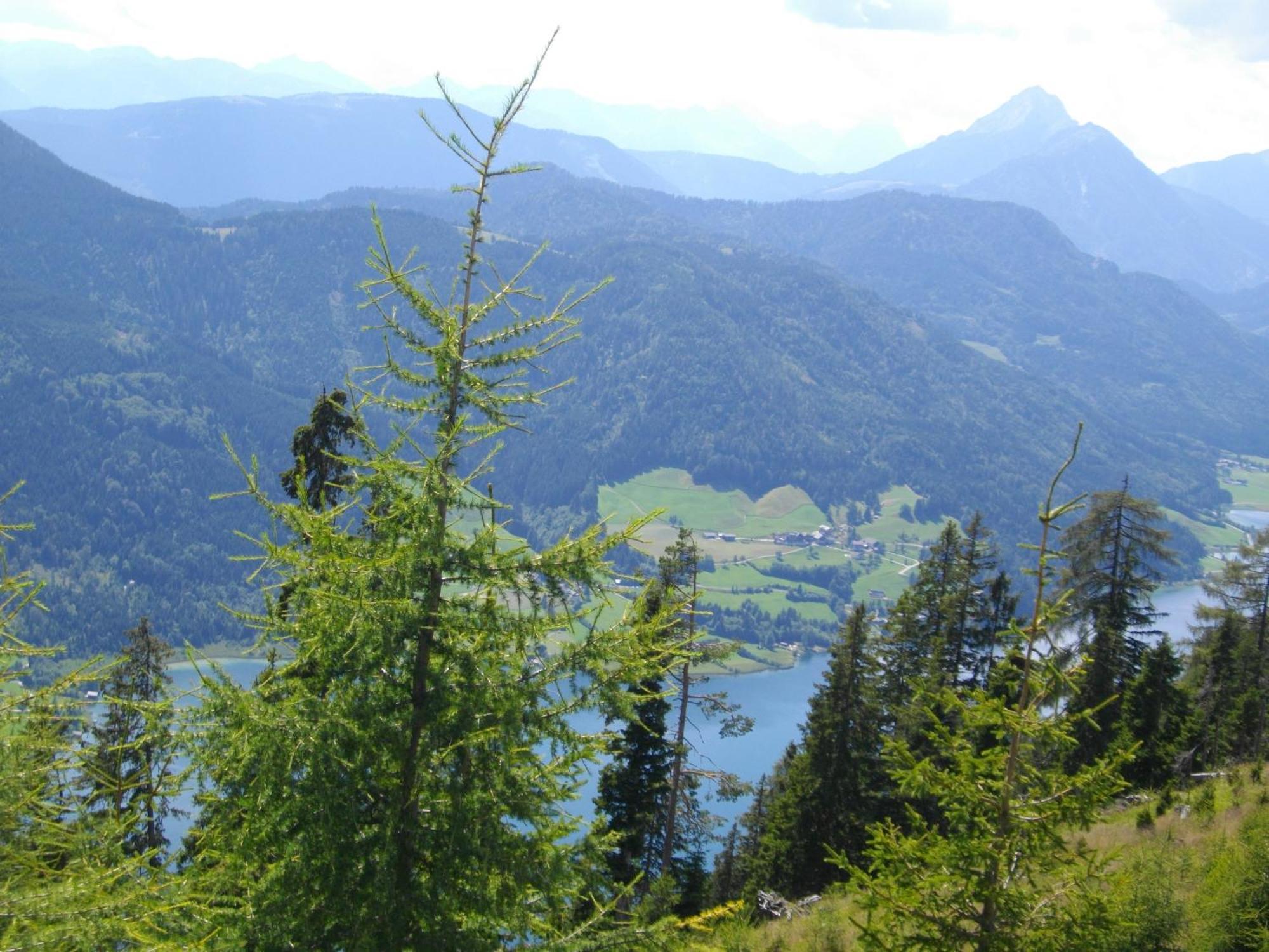 Appartamento Haus Birke Weissensee Esterno foto